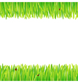 background of spring grass vector image