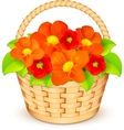 basket with beautiful flowers vector image