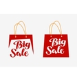 big sale logo inscription written on shopping bag vector image