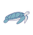 hand drawn sea turtle icon vector image vector image