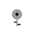 sunflower vector image vector image