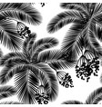 seamless black and white palm leaves and fruit vector image vector image
