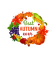 autumn leaf harvest vegetable and fruit poster vector image