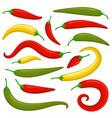 closeup chilly pepper set vector image vector image