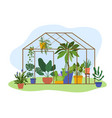 planting greenhouse glass garden glass house vector image vector image