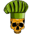 colored draw of human skull vector image vector image