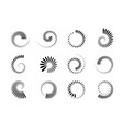 spiral design elements vector image vector image