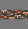 seamless texture with colored cartoon nuts on gray vector image