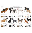 working service and watching dogs collection vector image