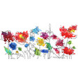 drawing poppy flowers vector image