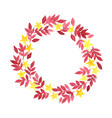 red leaves and christmas star wreath watercolor vector image