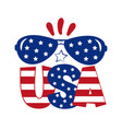 usa- happy independence day design vector image