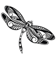 dragonfly vector image