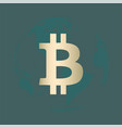 bitcoin gold vector image