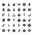 fruit vegetable solid web icons vector image