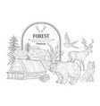 forest themed vintage sketch vector image vector image