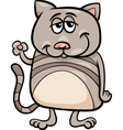 Funny cat character cartoon Royalty Free Vector Image