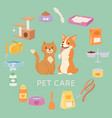 pet care set for petshop contains toys collar vector image