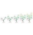 infographics in the form of a tree or plant vector image