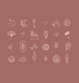 symbols flat light dark coral vector image vector image