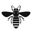 bee icon simple style vector image