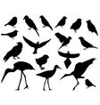 set of silhouettes of birds vector image