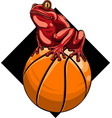 frog mascotte on a basket ball vector image vector image