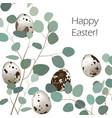 happy easter or spring greeting card quail eggs vector image vector image