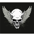 t-shirt design with skull vector image