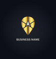 point arrow position gold logo vector image