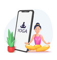 interactive online yoga workout with personal vector image vector image