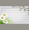spring sale frame with chamomiles and branch vector image