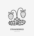 strawberries flat line icon forest berry sign vector image vector image