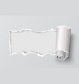 torn paper edge realistic transparent header hole vector image