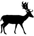 chital spotted deer buck silhouette vector image