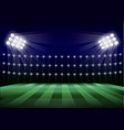 soccer field concept background realistic style vector image