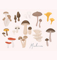 large mushroom set in flat design isolated vector image vector image