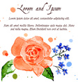 rose and forget-me-flower vector image