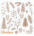 hand drawn fir and pine branches fir-cones vector image vector image