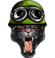 black panther puma head of animal wild cat vector image