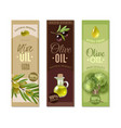 olive vertical banners set vector image vector image