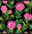 floral seamless pattern with protea flowers vector image