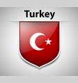 badge design for turkey flag vector image