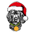 dog in santa stocking hat claus christmas vector image