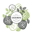 hand drawn sketch style cherimoya banner organic vector image vector image