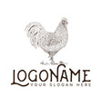 chicken rooster cock farm logo design template vector image vector image