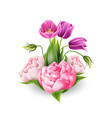 3d realistic peony tulip elegant bouquet vector image vector image