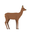 capreolus - roe deer female - side view vector image vector image