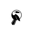 bird parrot logo vector image vector image