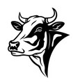 cow head mascot logo vector image